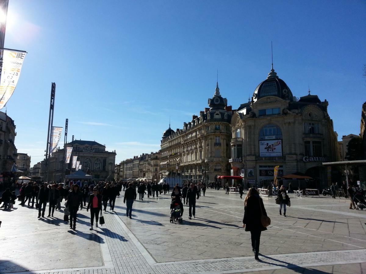 Chambre Montpellier Campanules Apartman Kültér fotó