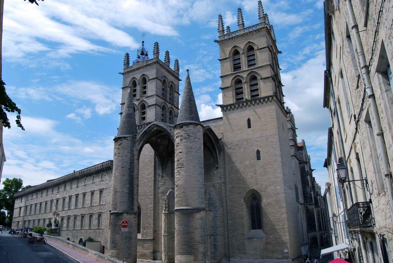 Chambre Montpellier Campanules Apartman Kültér fotó
